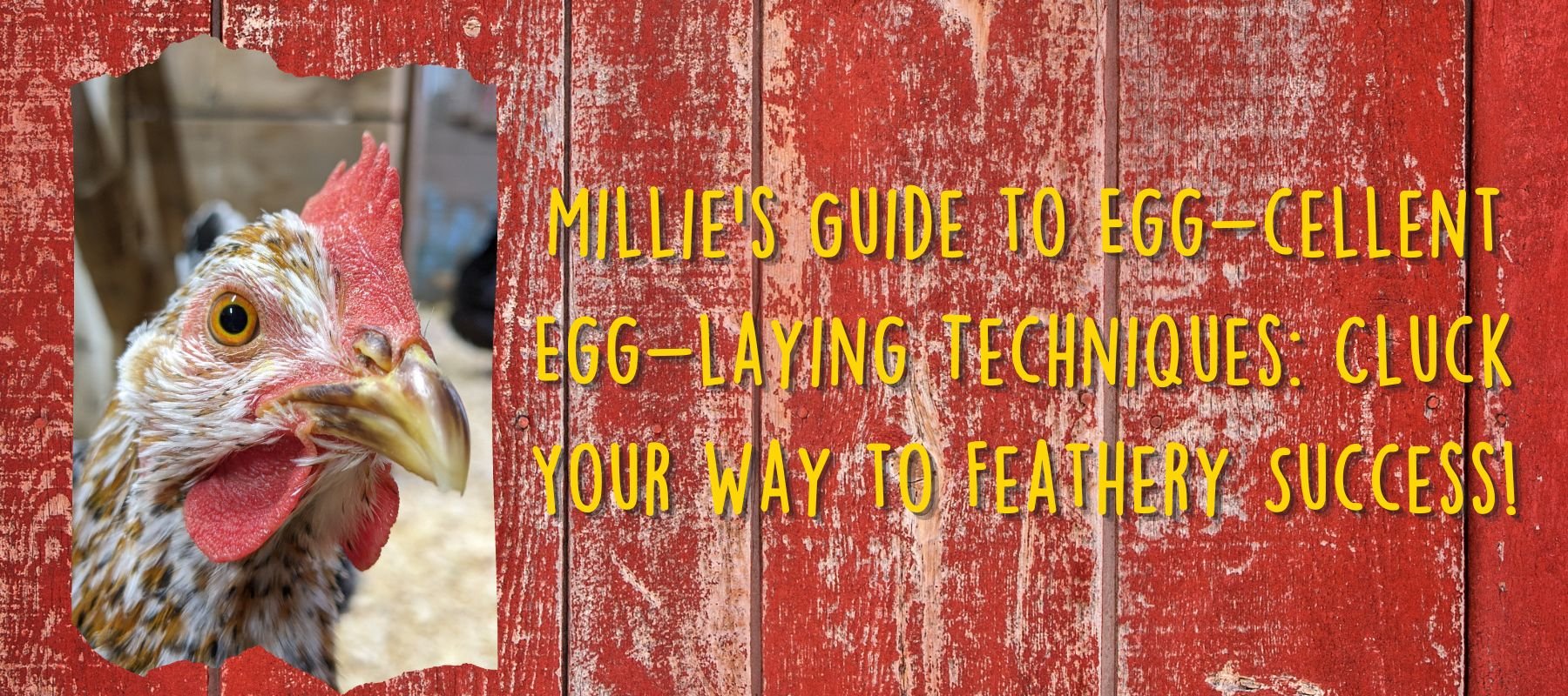 Millie's Guide to Egg-cellent Egg-laying Techniques: Cluck Your Way to Feathery Success! - Cluck It All Farms