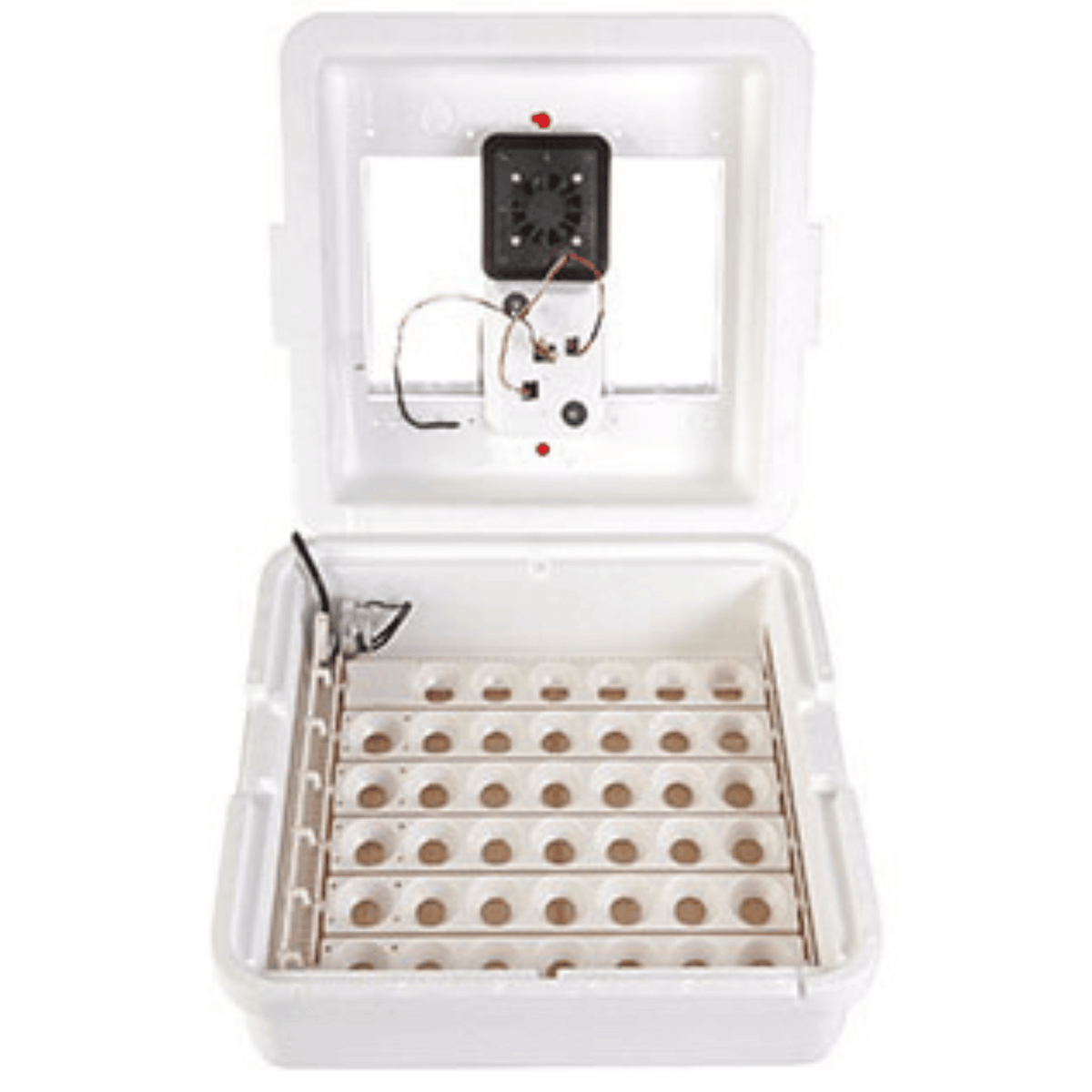 Miller Little Giant Egg Deluxe Incubator with Auto Turner