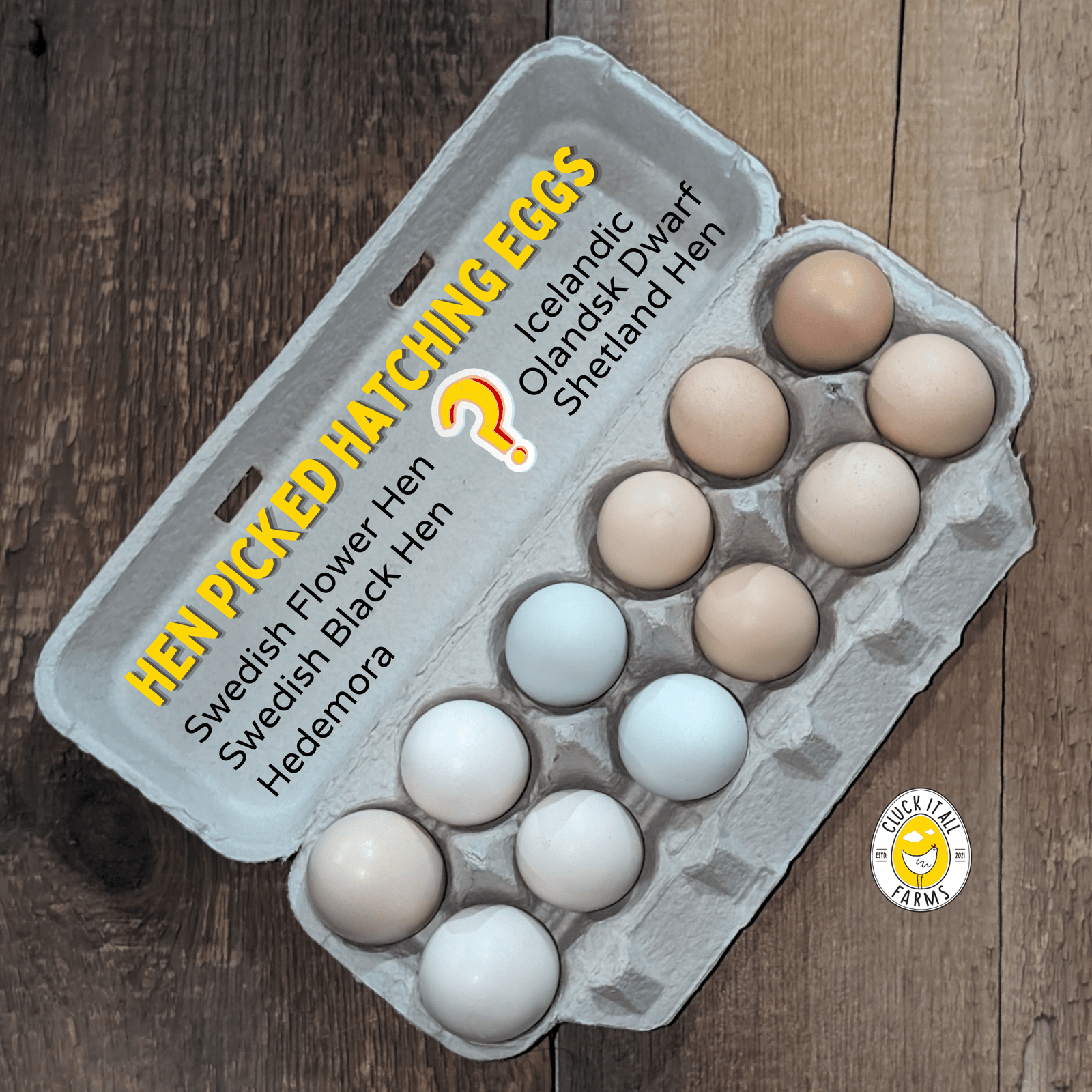 One Dozen HEN PICKED Hatching Eggs - Cluck It All Farms