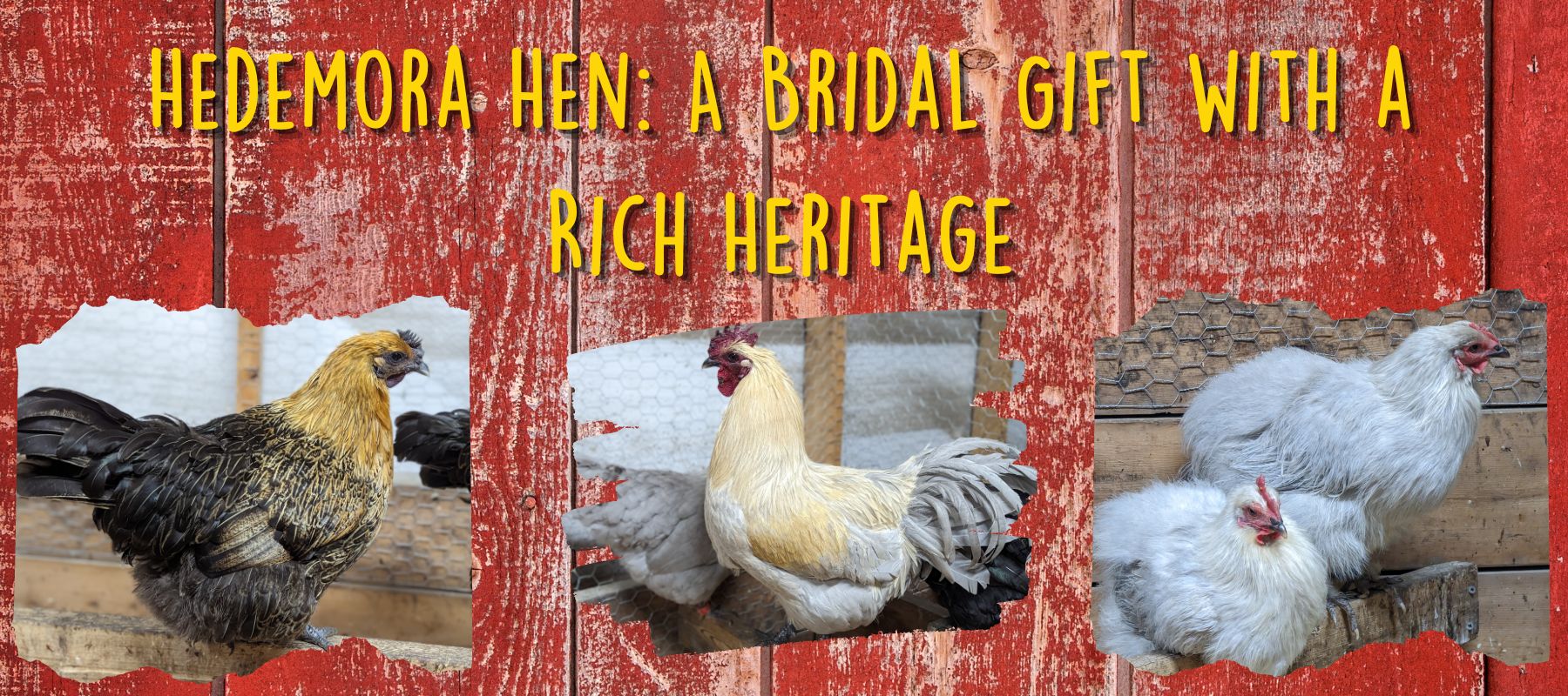 Hedemora Hen: A Bridal Gift with a Rich Heritage