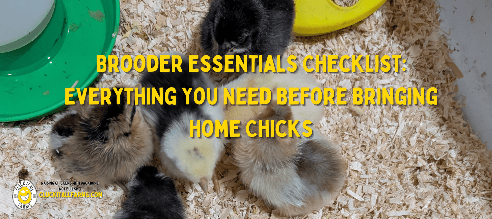 Brooder Essentials Checklist: Everything You Need Before Bringing Home Chicks - Cluck It All Farms