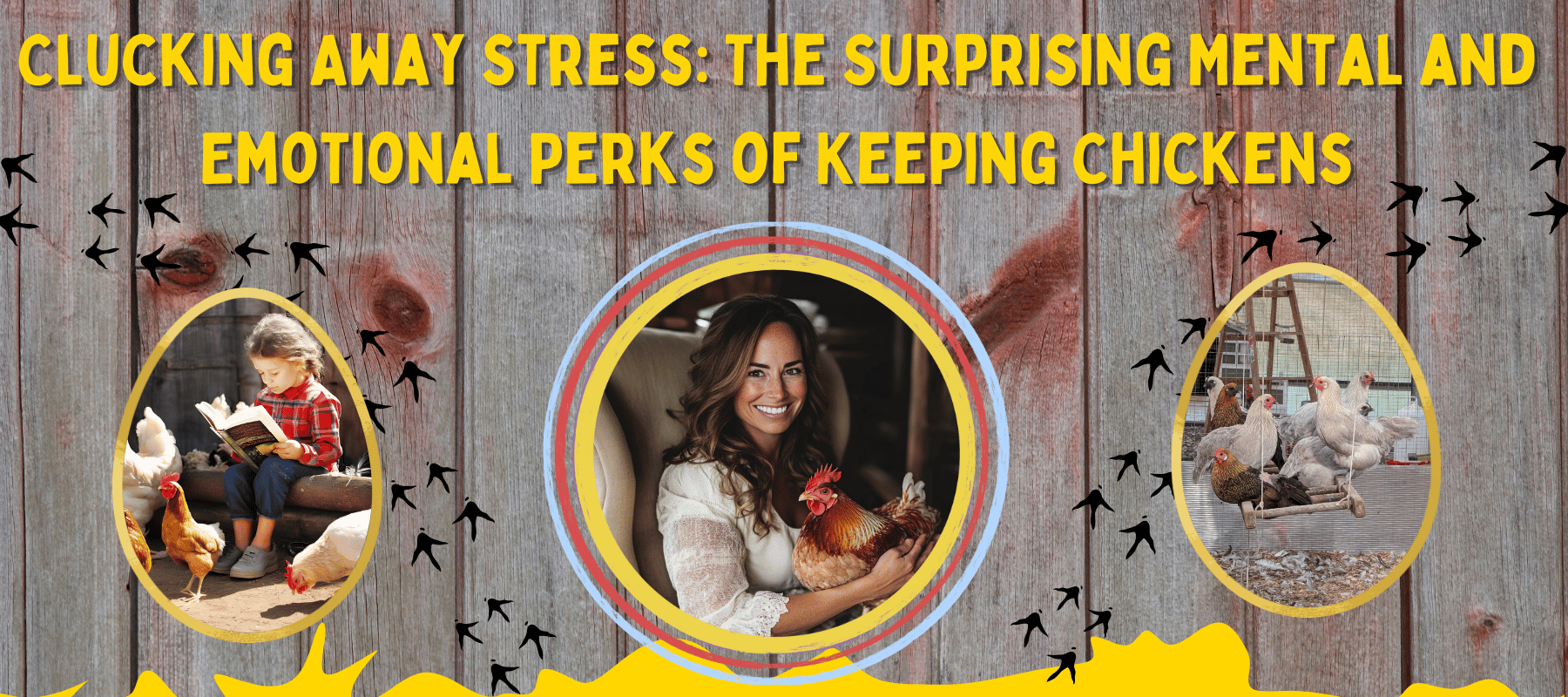 Clucking Away Stress: Mental and Emotional Perks of Keeping Chickens - Cluck It All Farms