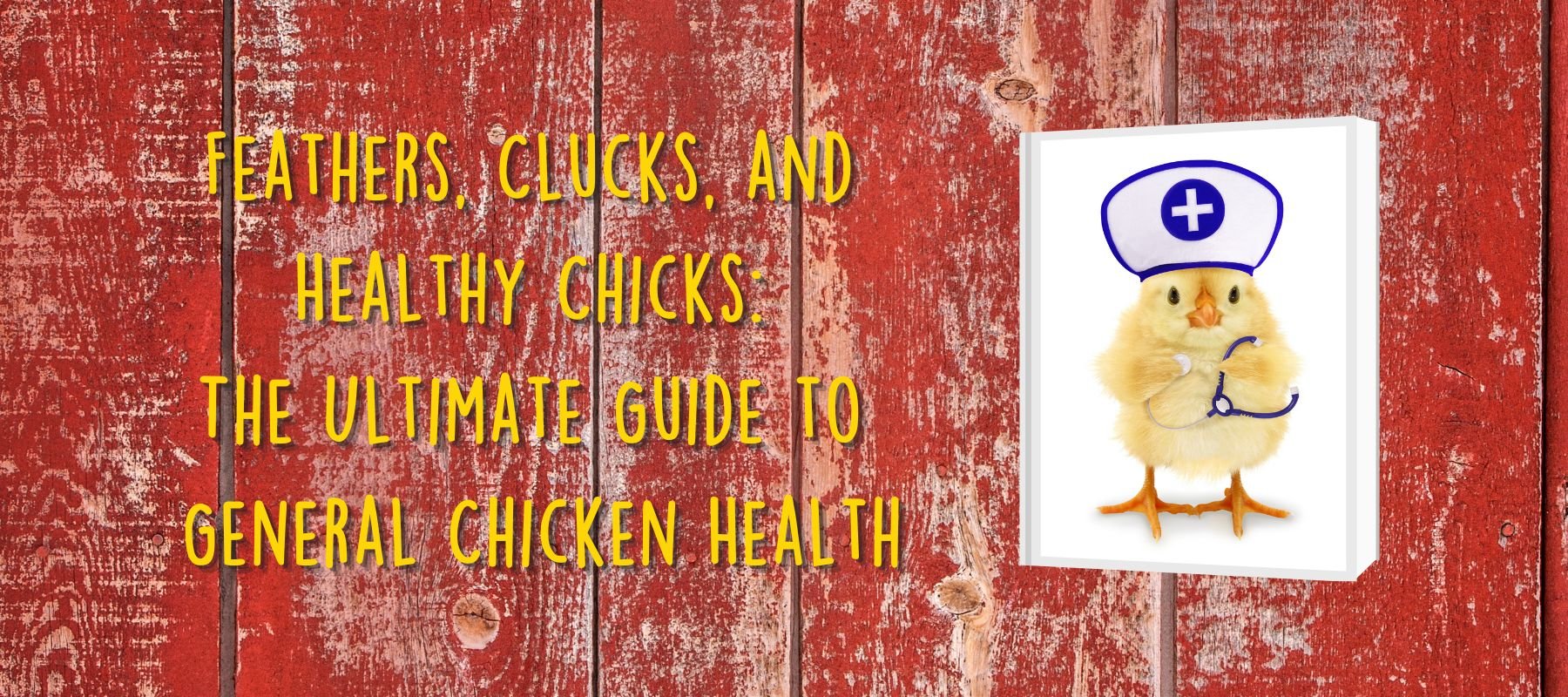 Feathers, Clucks, and Healthy Chicks: The Ultimate Guide to General Chicken Health - Cluck It All Farms