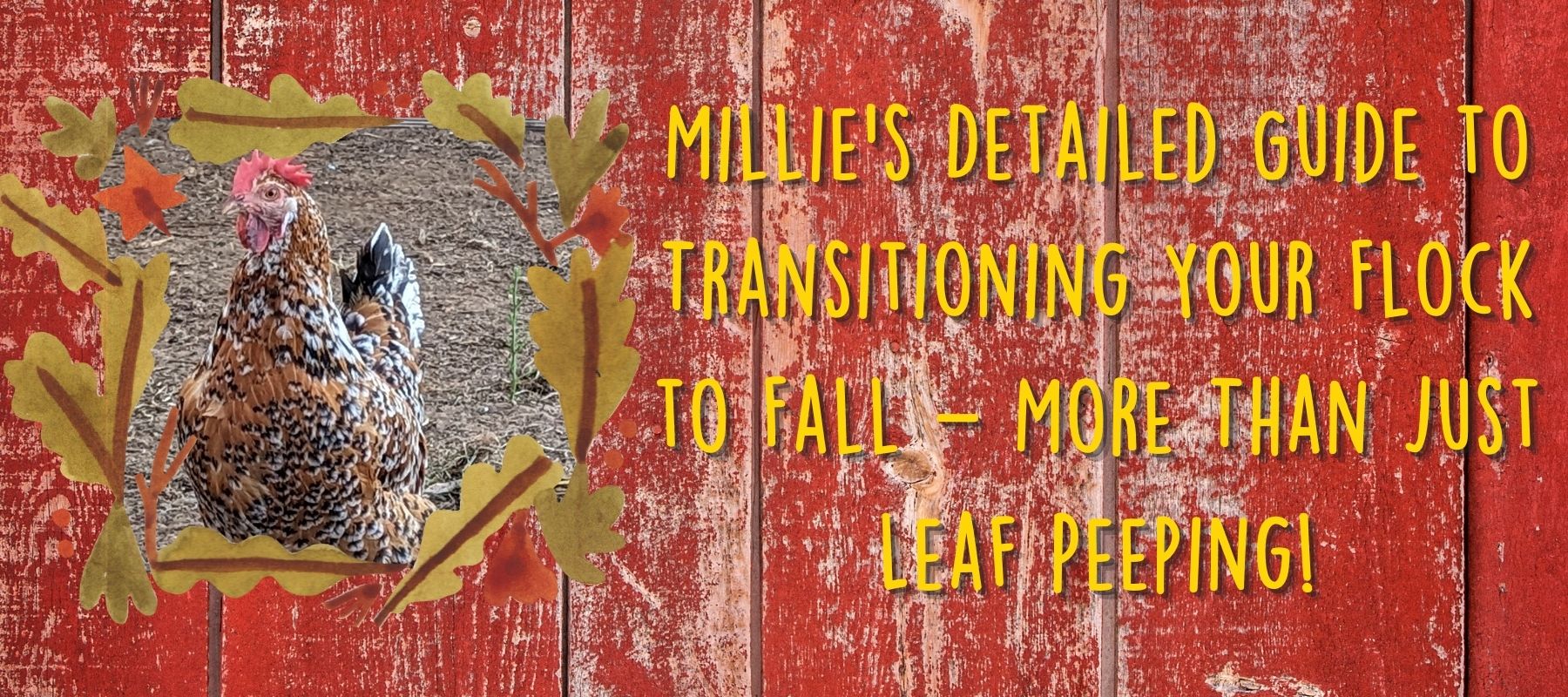 Millie's Detailed Guide to Transitioning Your Flock to Fall – More Than Just Leaf Peeping!