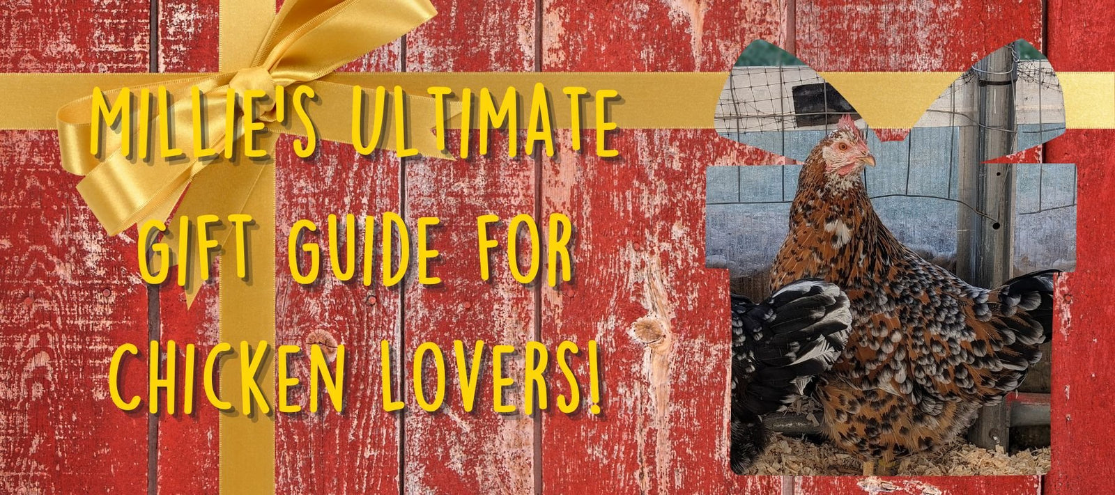 Millie's Ultimate Gift Guide for Chicken Lovers! - Cluck It All Farms