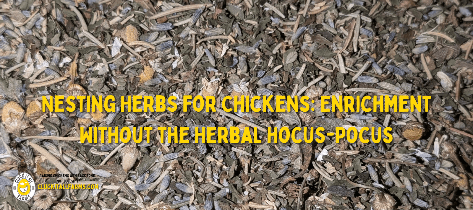 Nesting Herbs for Chickens: Enrichment Without the Herbal Hocus-Pocus - Cluck It All Farms