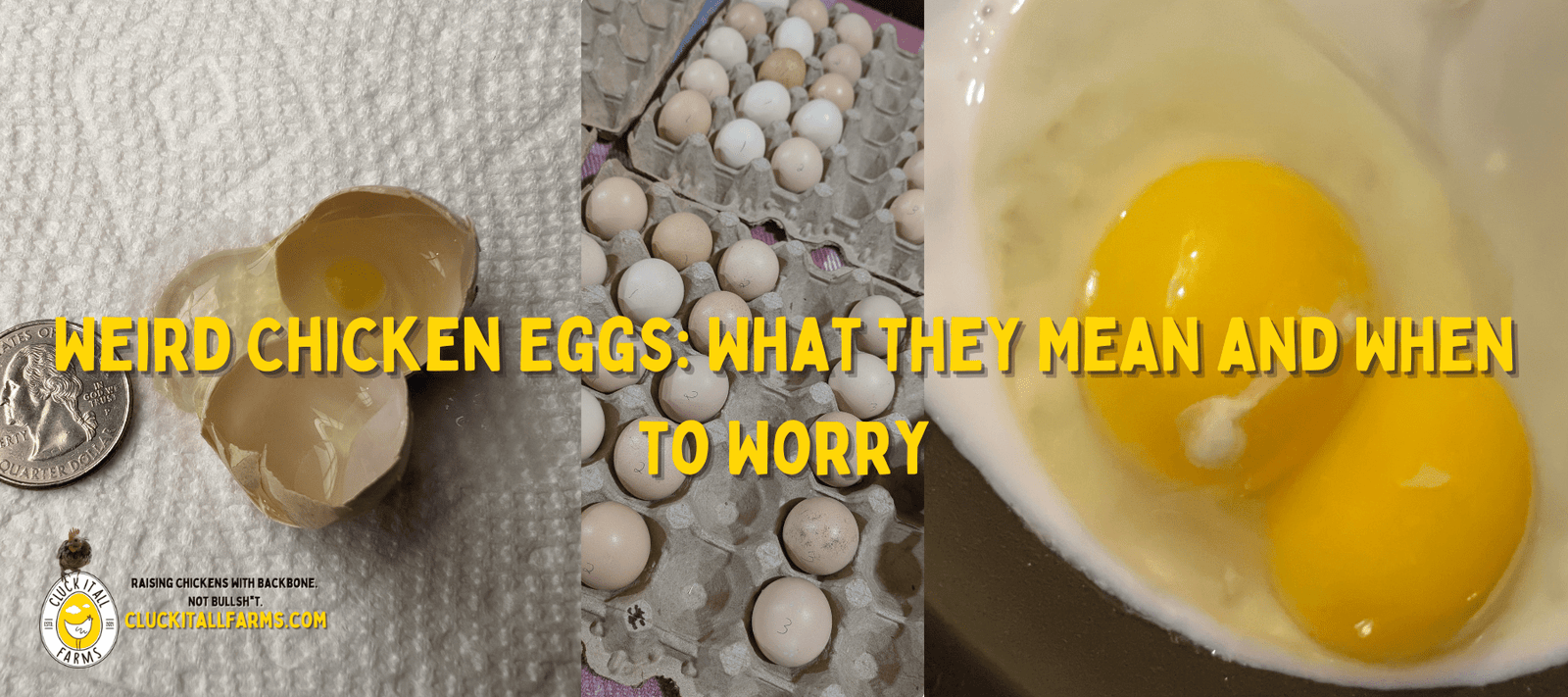 Weird Chicken Eggs: What They Mean and When to Worry - Cluck It All Farms