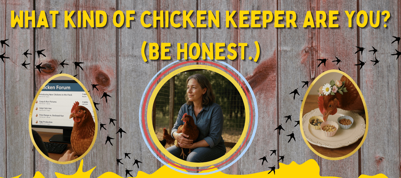 What Kind of Chicken Keeper Are You? (Be Honest.) - Cluck It All Farms
