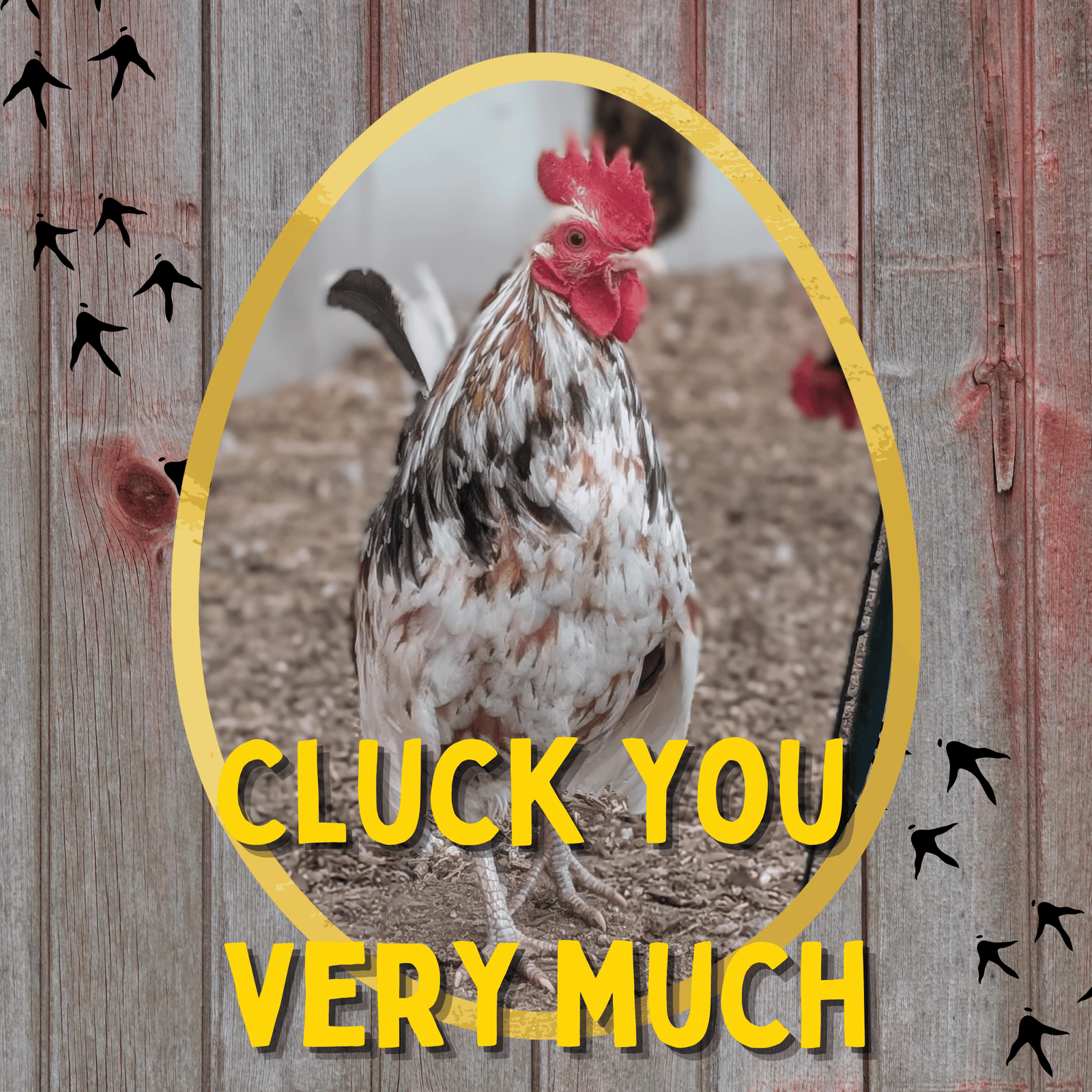 Cluck You Very Much - Cluck It All Farms