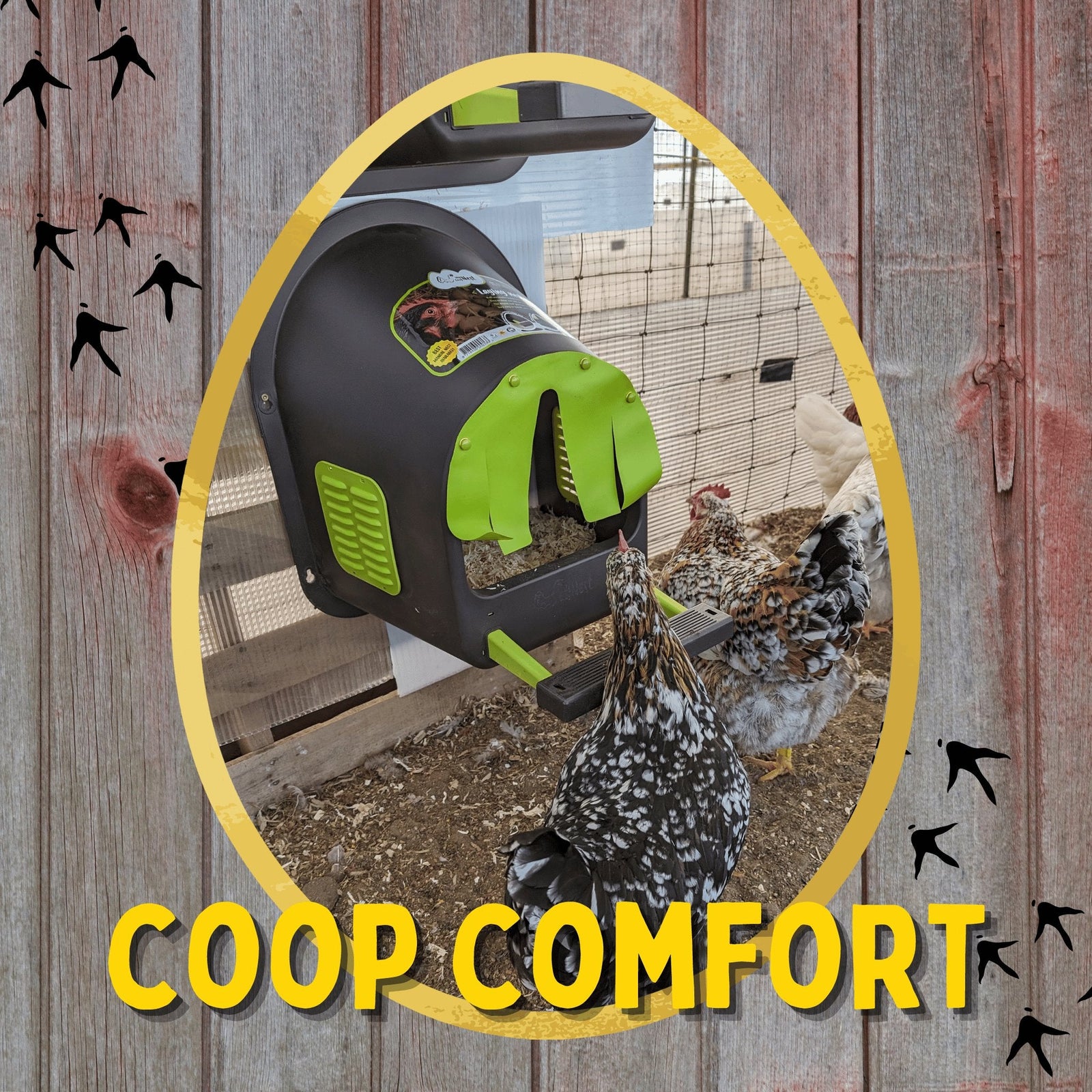 Coop Comfort - Cluck It All Farms