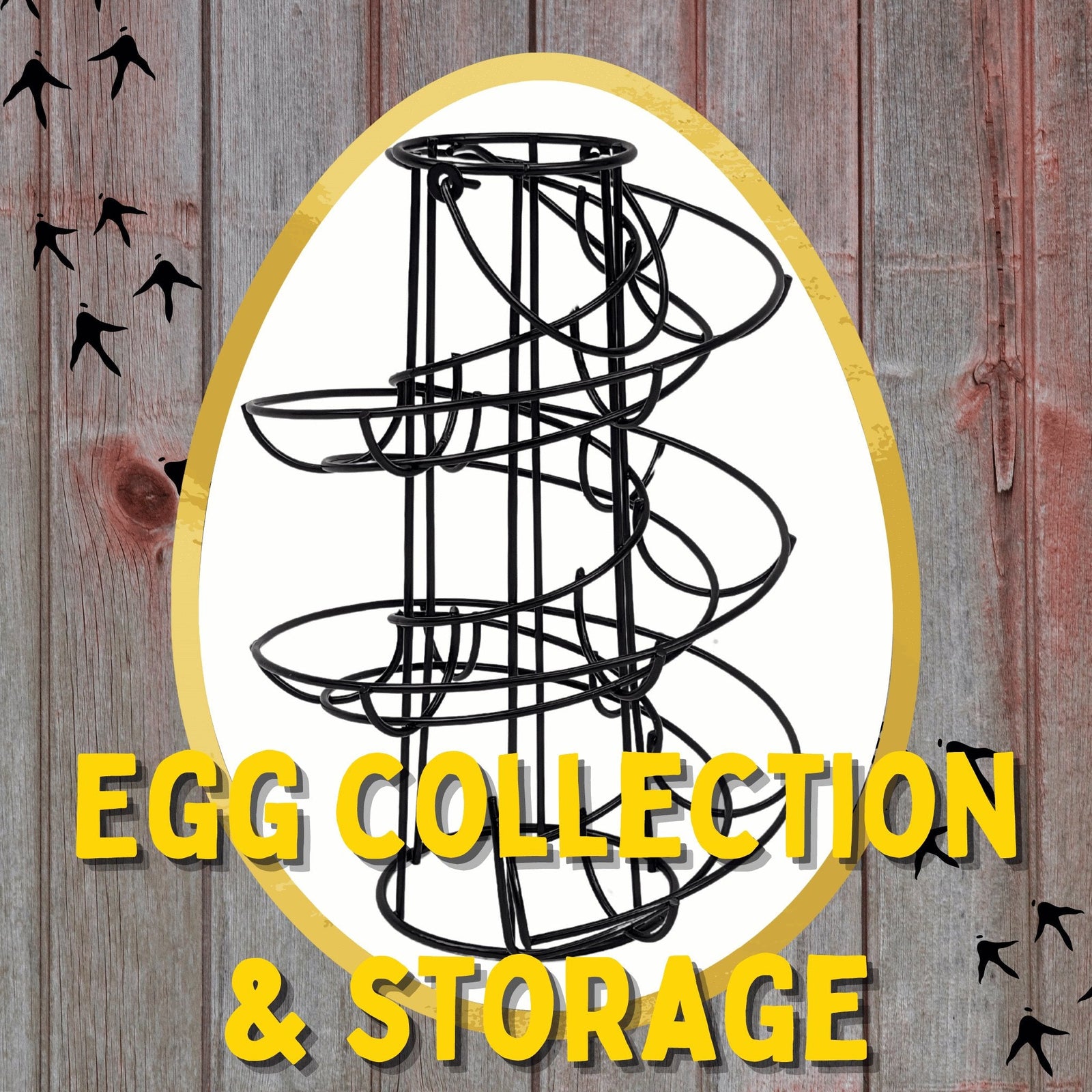 Egg Collection & Storage - Cluck It All Farms