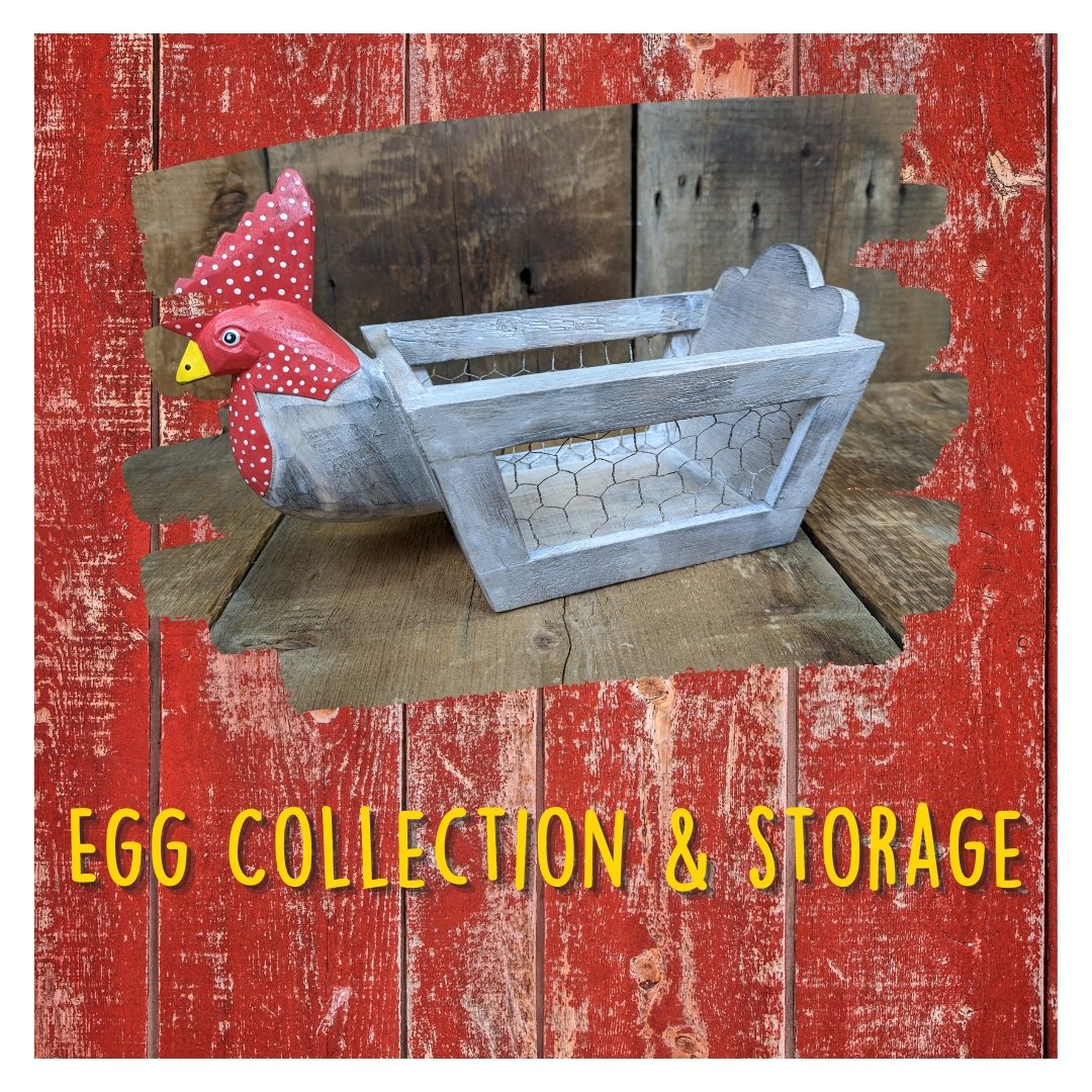 Egg Collection & Storage - Cluck It All Farms