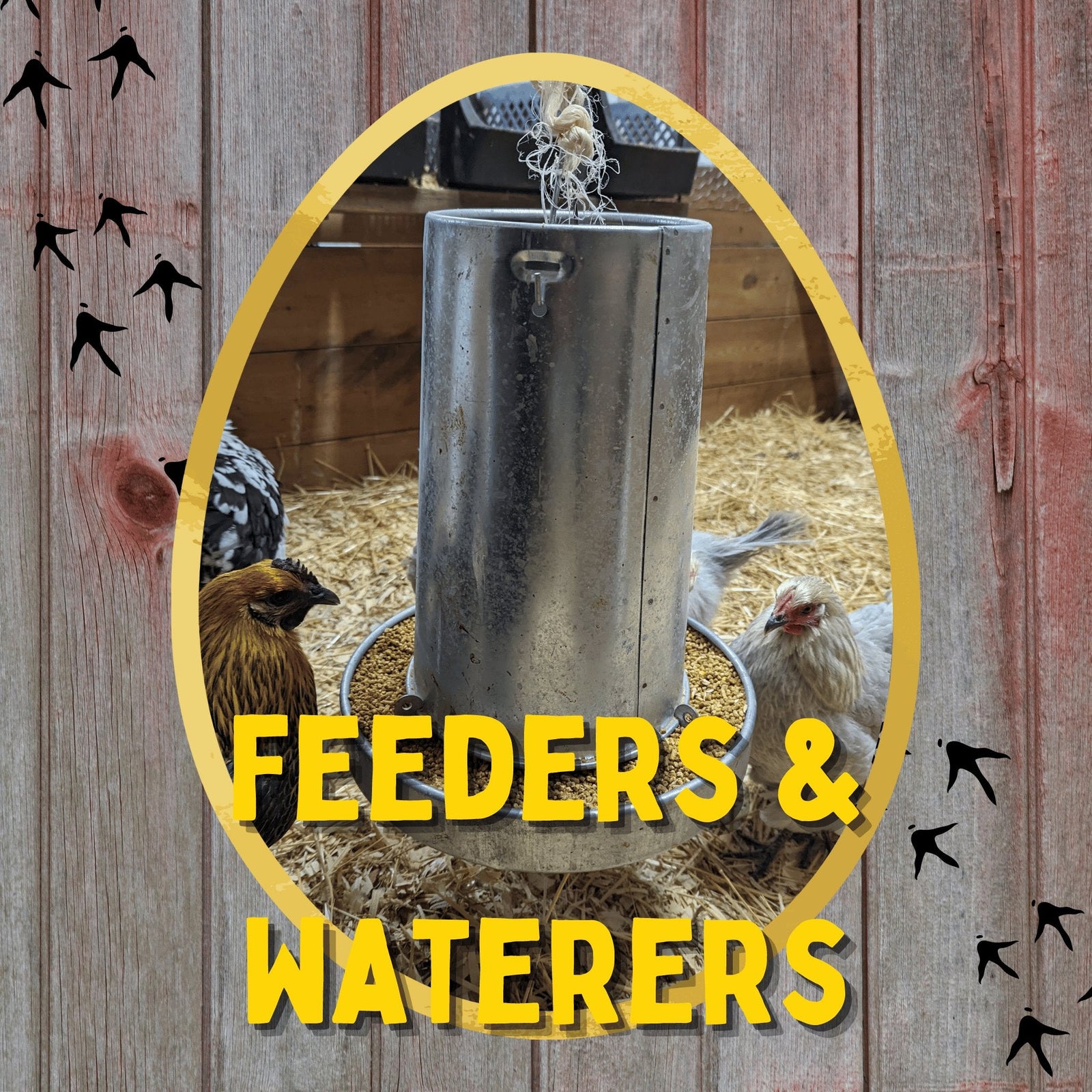 Feeders and Waterers - Cluck It All Farms