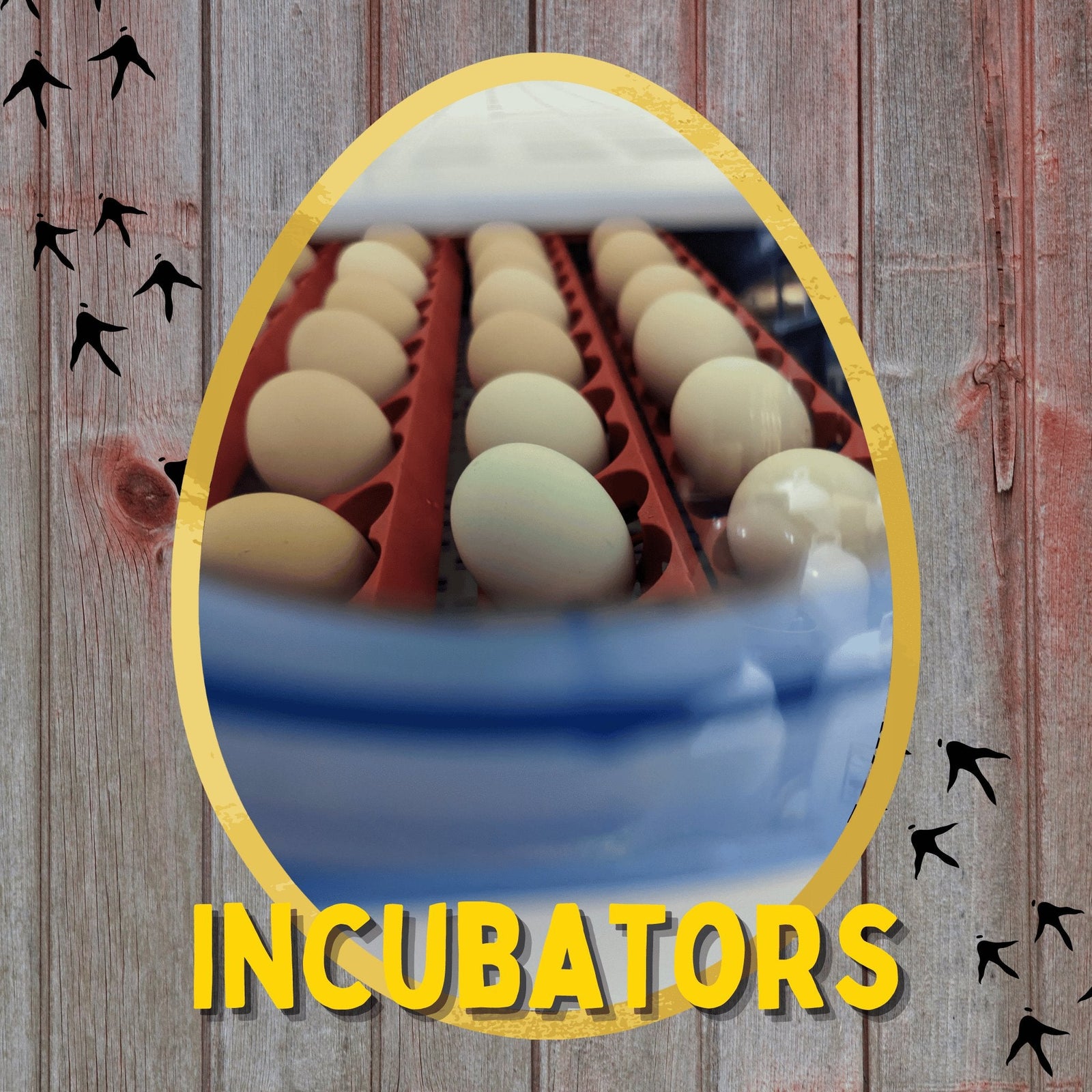 Incubators - Cluck It All Farms