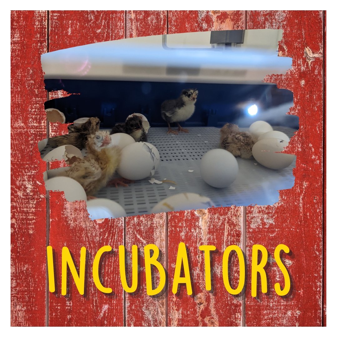 Incubators - Cluck It All Farms