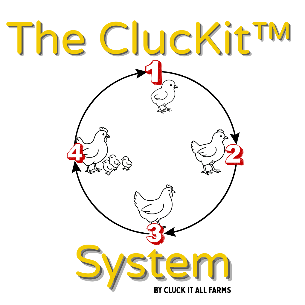 The ClucKit™ System - Cluck It All Farms