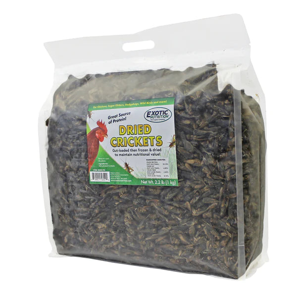 Dried Cricket Treats for Cluckin&#39; Chickens