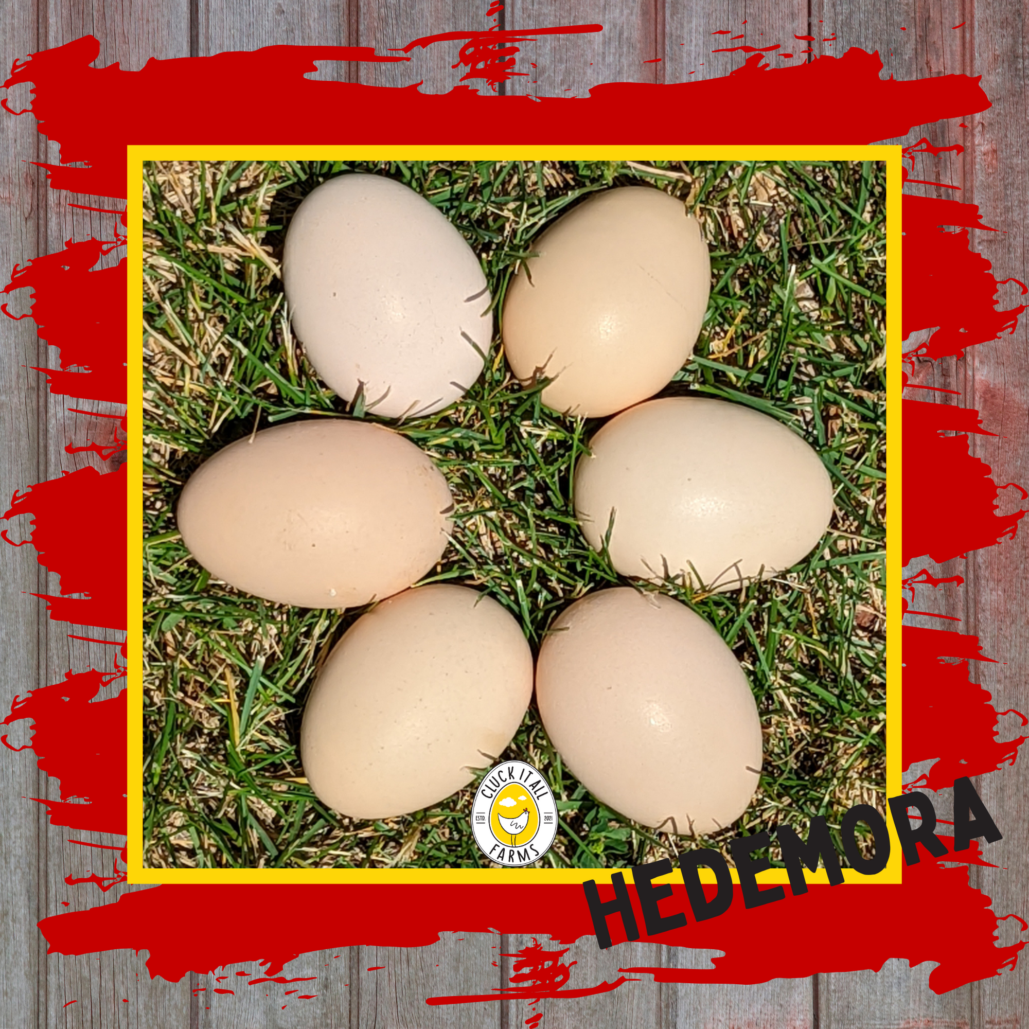 Hedemora Chicken Eggs