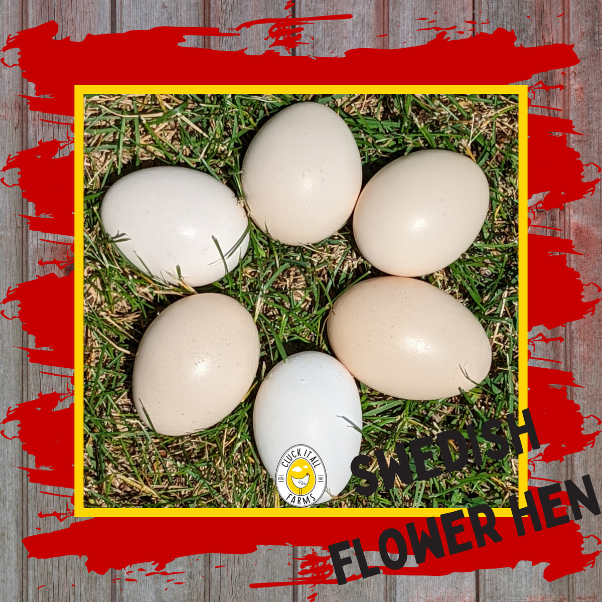 Swedish Flower Hen Eggs