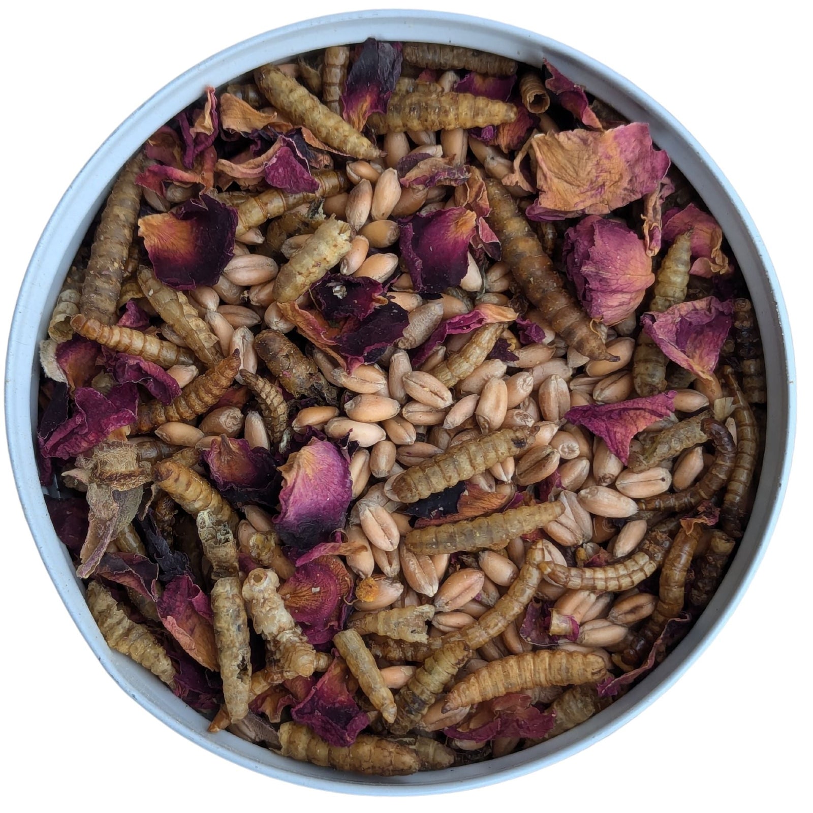 Bee - Tastic Chicken Treat - Cluck It All Farms