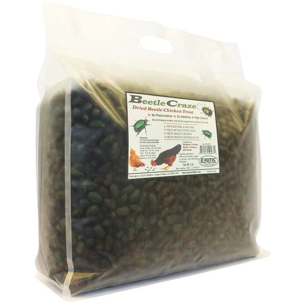 Beetle Craze Chicken Treats – 2 lb Dried Beetles for Enrichment
