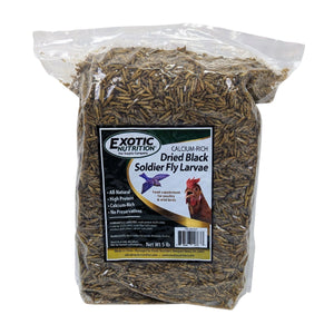 Black Soldier Fly Larvae 5lb Chicken Treat - Cluck It All Farms