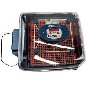 Borotto® Lumia 16 Egg Incubator - Cluck It All Farms