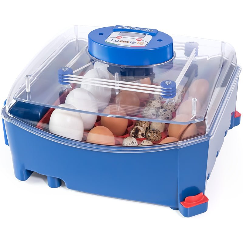 Borotto® Lumia 16 Egg Incubator - Cluck It All Farms