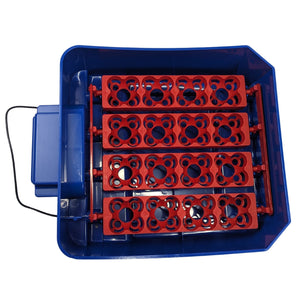 Borotto® Lumia 16 Egg Incubator - Cluck It All Farms