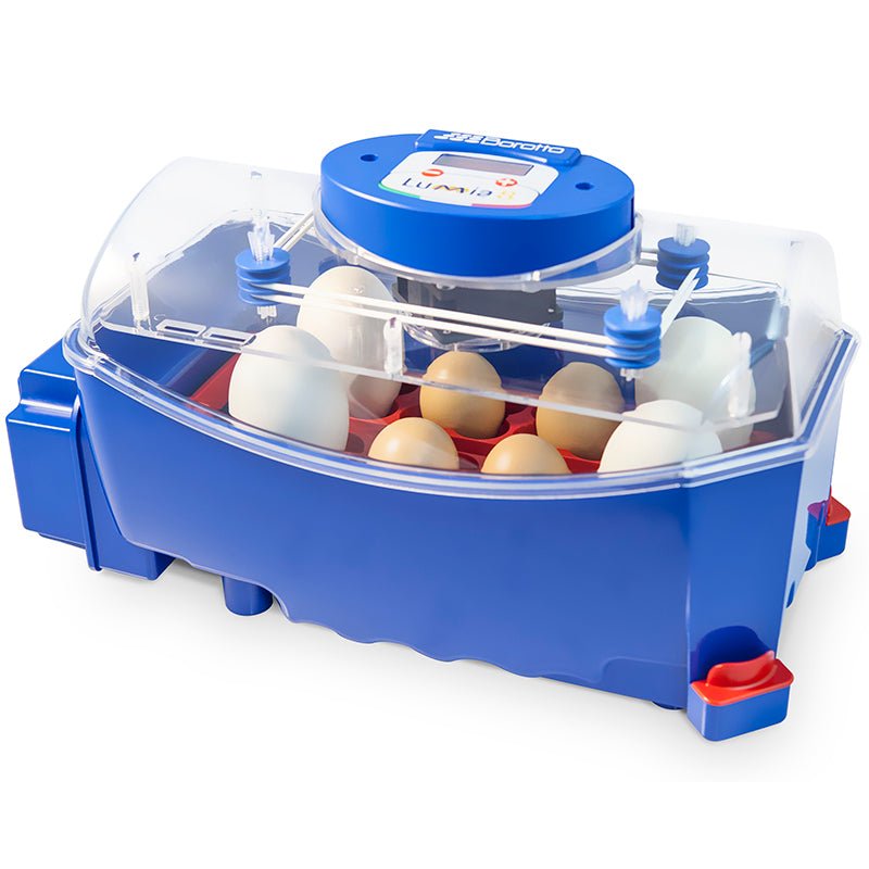 Borotto® Lumia 8 Egg Incubator - Cluck It All Farms