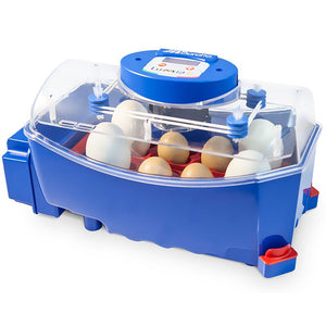 Borotto® Lumia 8 Egg Incubator - Cluck It All Farms