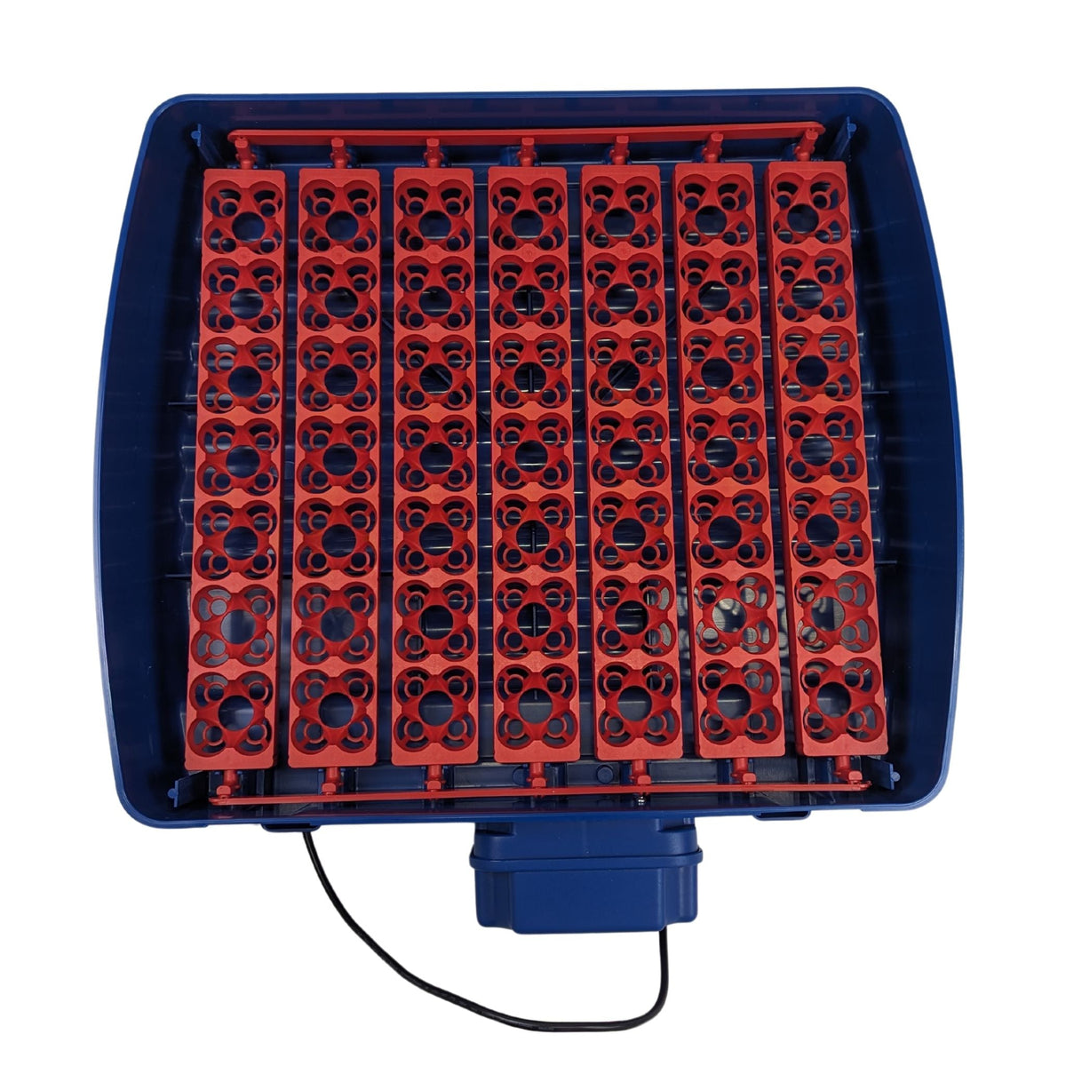 Borotto® Real 49 Plus Egg Incubator - Cluck It All Farms