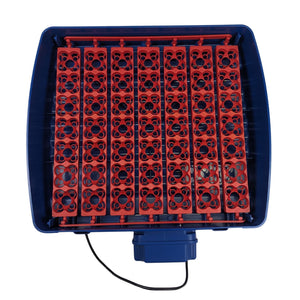 Borotto® Real 49 Plus Egg Incubator - Cluck It All Farms