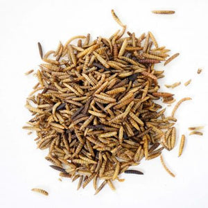 Bug Buffet 2lb Chicken Treats - Cluck It All Farms