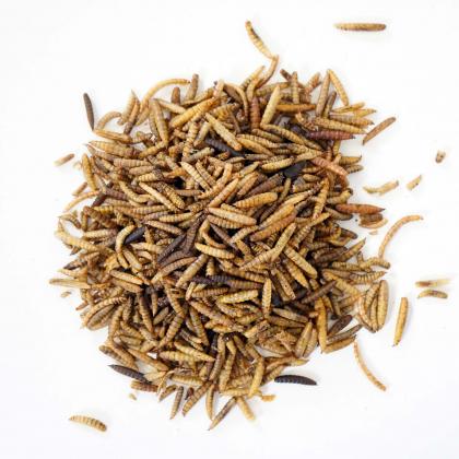 Bug Buffet 2lb Chicken Treats - Cluck It All Farms