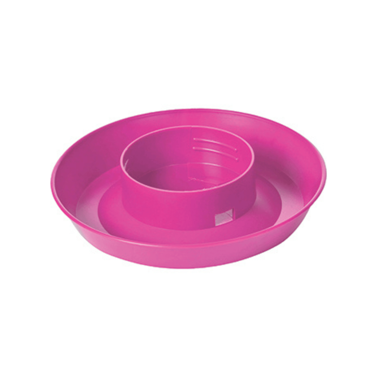 Chick Waterer Screw - On Quart Jar Base - Cluck It All Farms