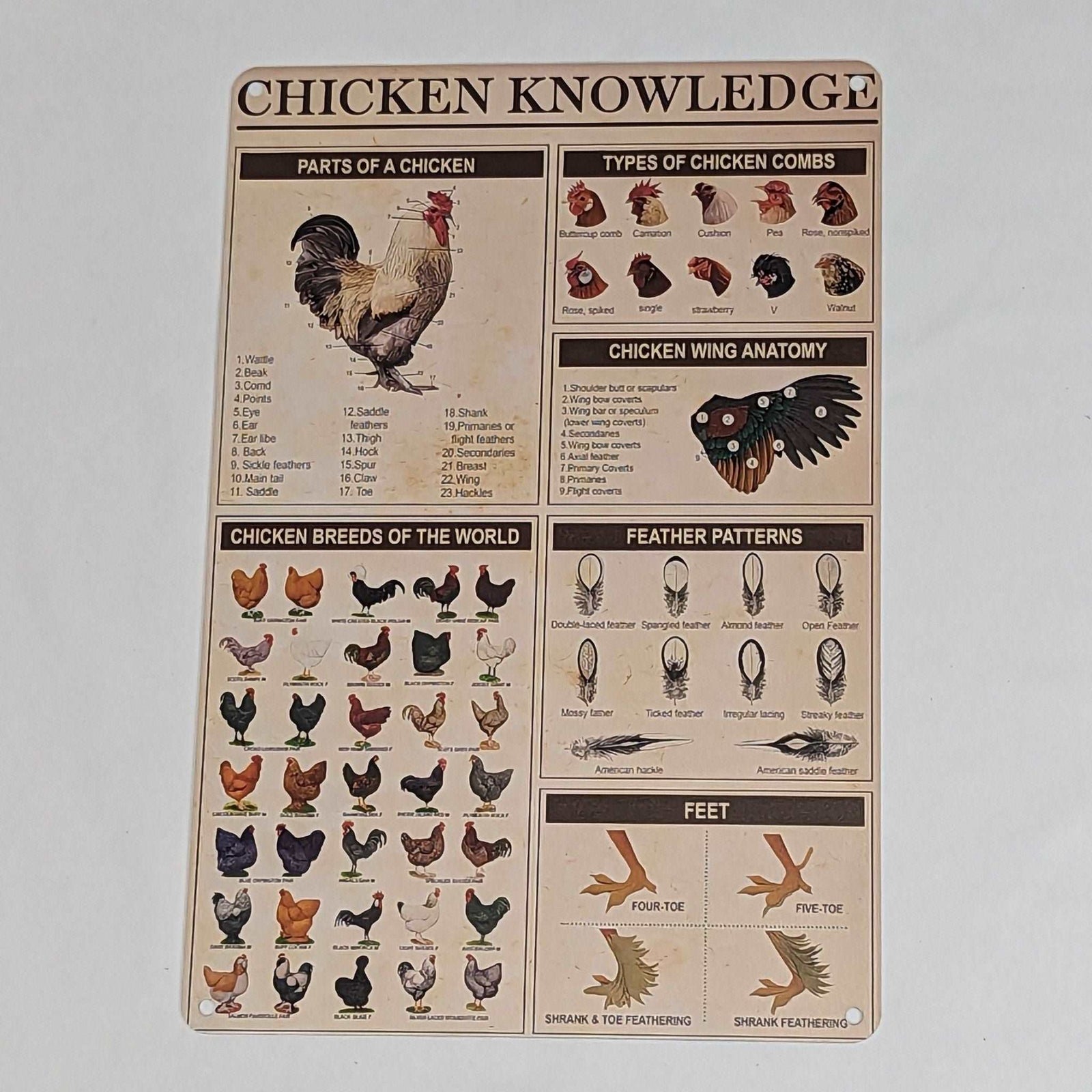 Chicken Breeds Infographic Metal Tin Sign - Cluck It All Farms