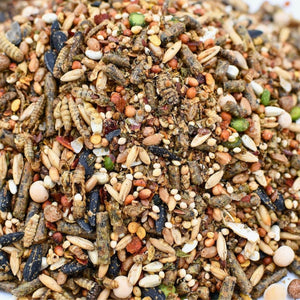 Chicken Fun - Doo Chicken Treat 3lb - Cluck It All Farms