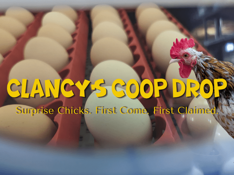 Clancy's Coop Drop - Cluck It All Farms