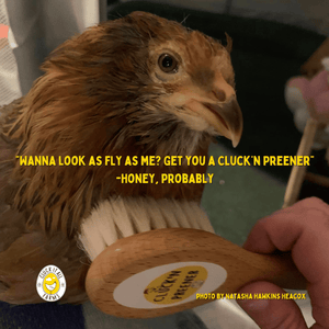 Cluckin' Preener Feather Brush - Cluck It All Farms