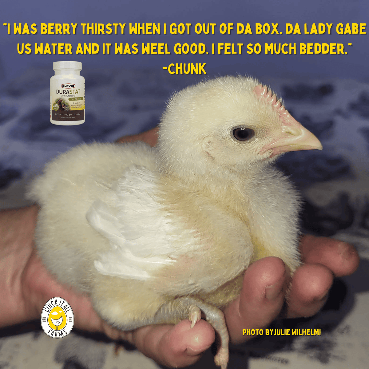 DuraStat with Oregano Poultry Supplement - Cluck It All Farms