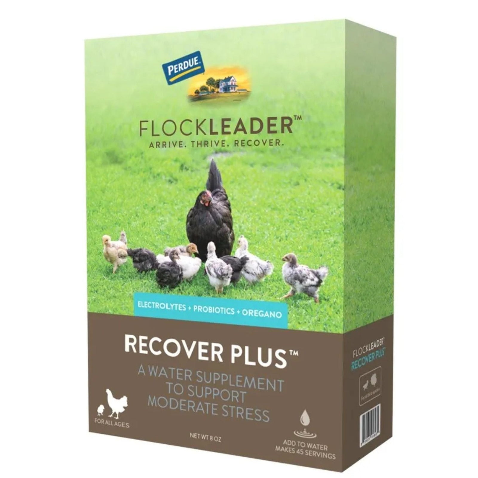 FlockLeader Recover Plus Poultry Supplement 8oz - Cluck It All Farms