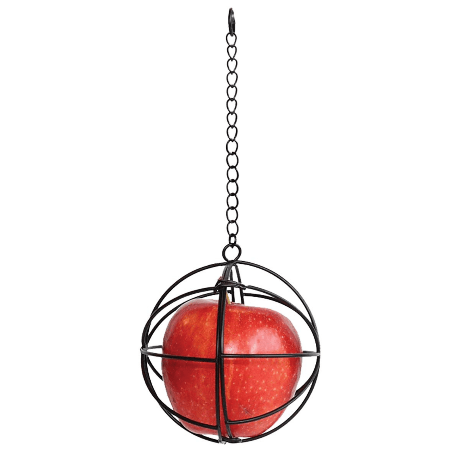 Hanging Chicken Treat Ball - Cluck It All Farms