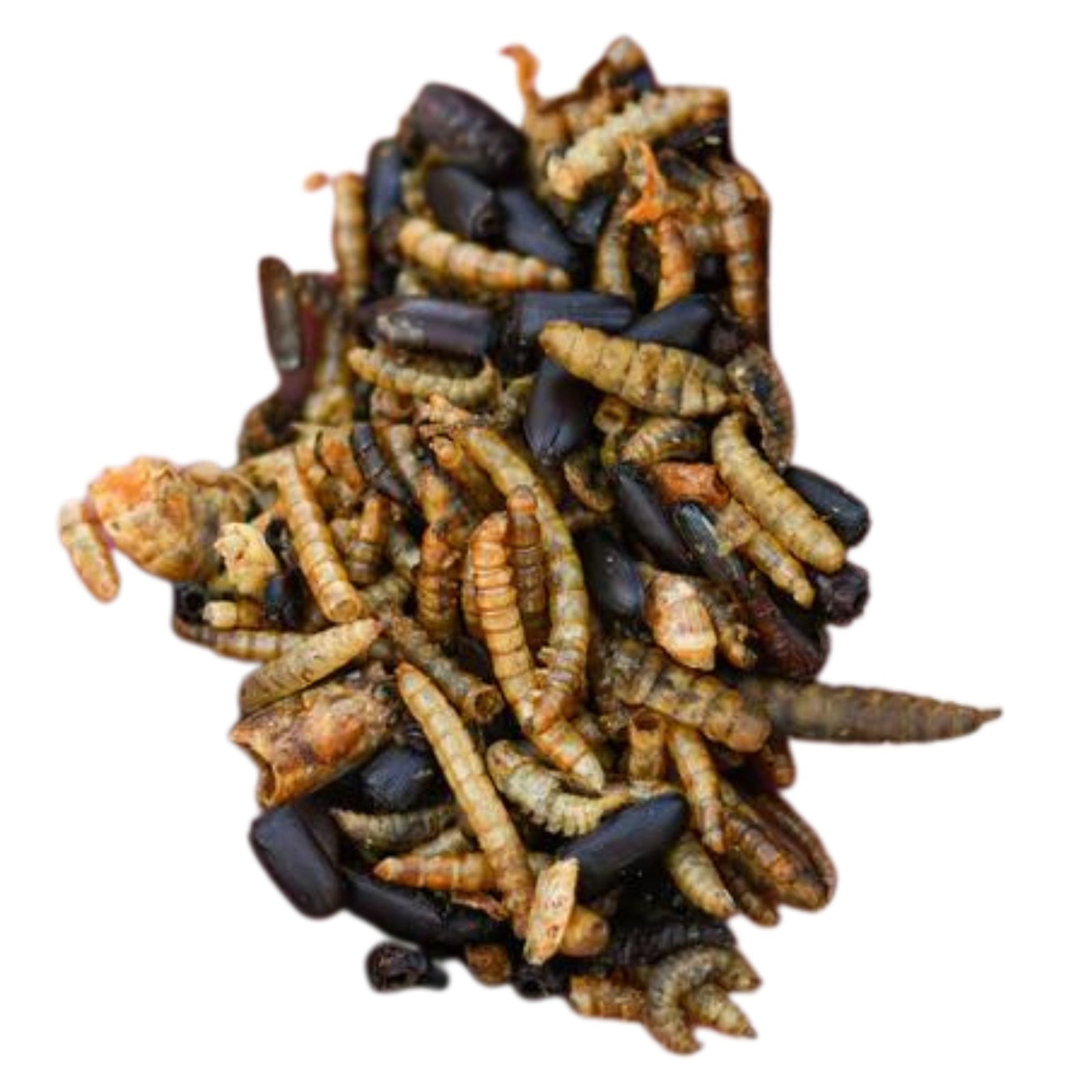 Happy Hen Bug Bonanza Chicken Treat 30oz - Cluck It All Farms