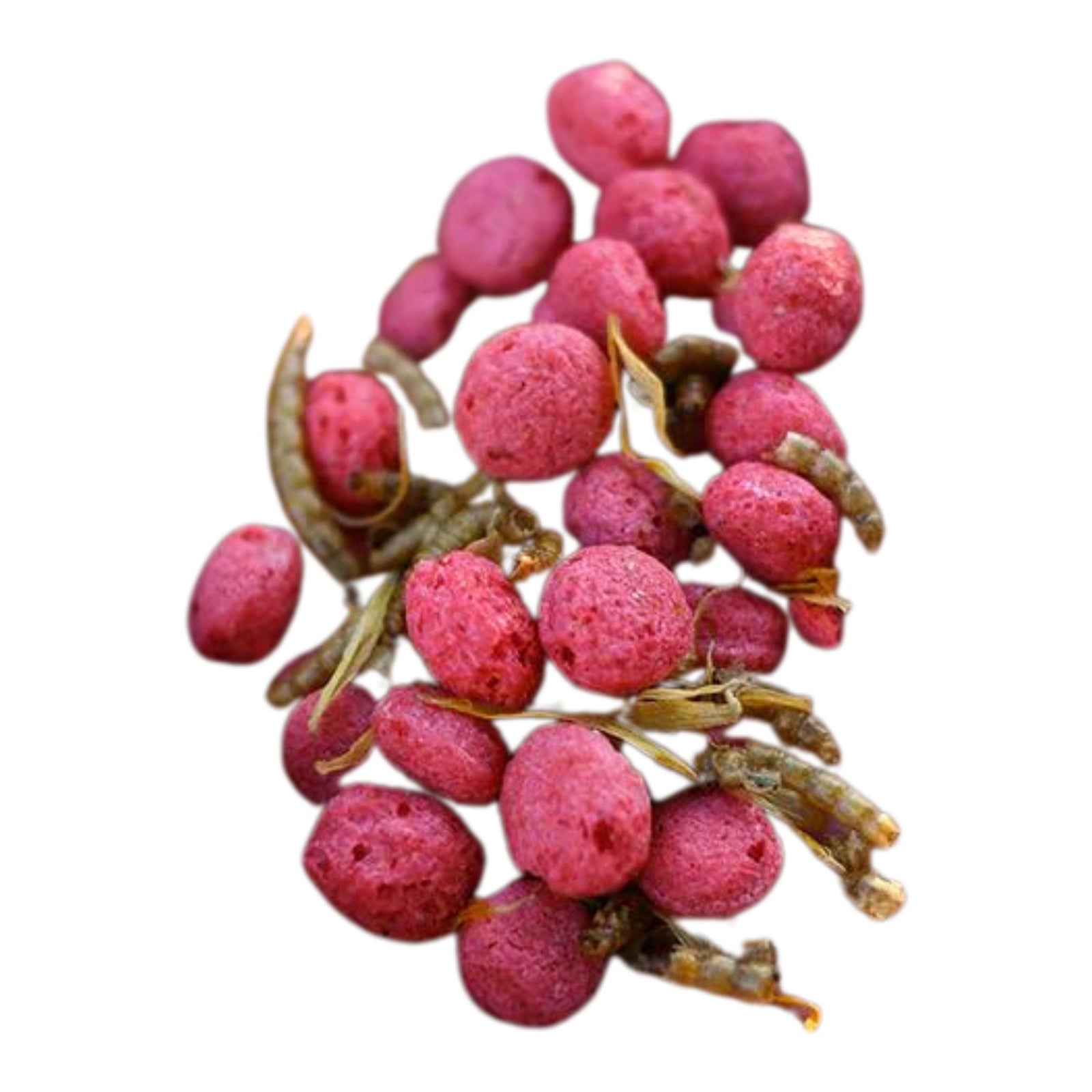 Happy Hen Free Range Feast Mealworm & Flower Chicken Treats - Cluck It All Farms