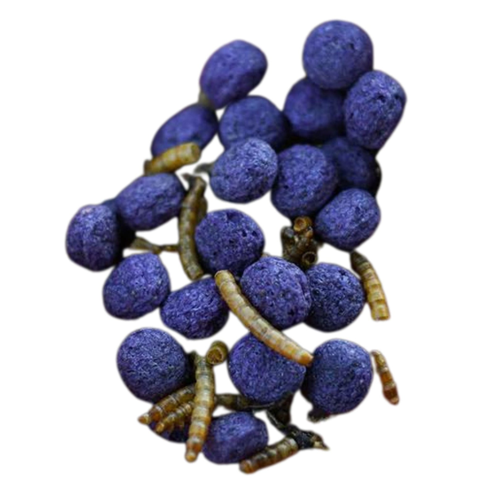 Happy Hen Free Range Feast Mealworm & Herb Chicken Treats - Cluck It All Farms