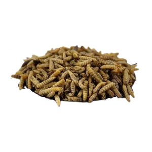 Happy Hen Grub Frenzy Chicken Treats - Cluck It All Farms