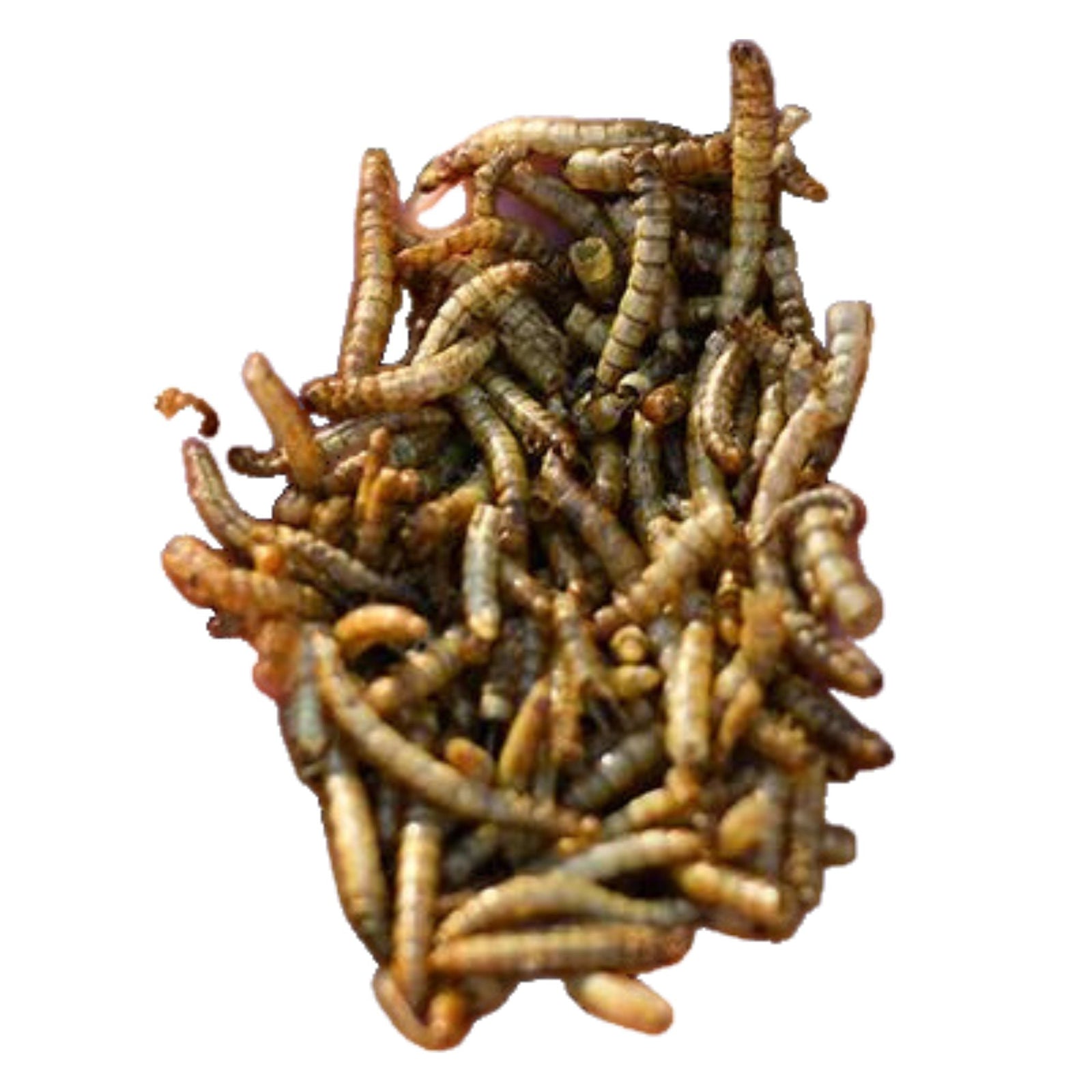 Happy Hen Mealworm Frenzy Chicken Treat - Cluck It All Farms