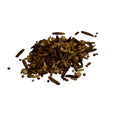 Homegrown Bugs Premium Black Soldier Fly Grubs and Grains Chicken Treats - Cluck It All Farms