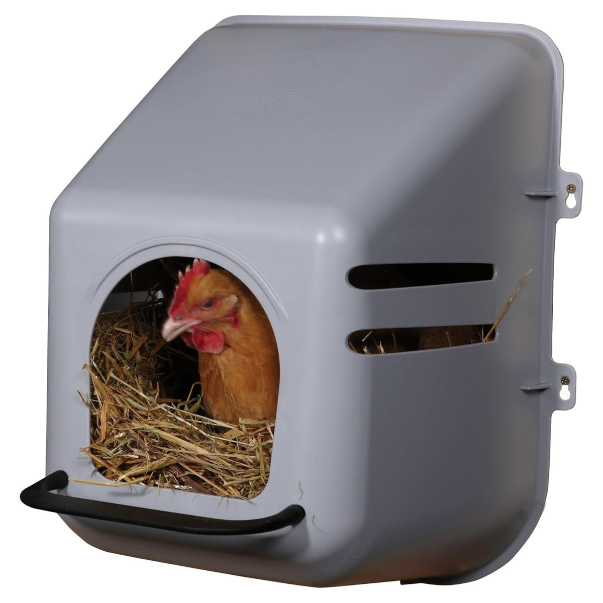 Little Giant Plastic Nesting Box - Cluck It All Farms